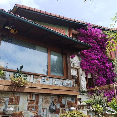 Kostanalu Rooms Plentzia Buitenkant foto